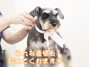 ２年生に向けて！先生の試技会♪②